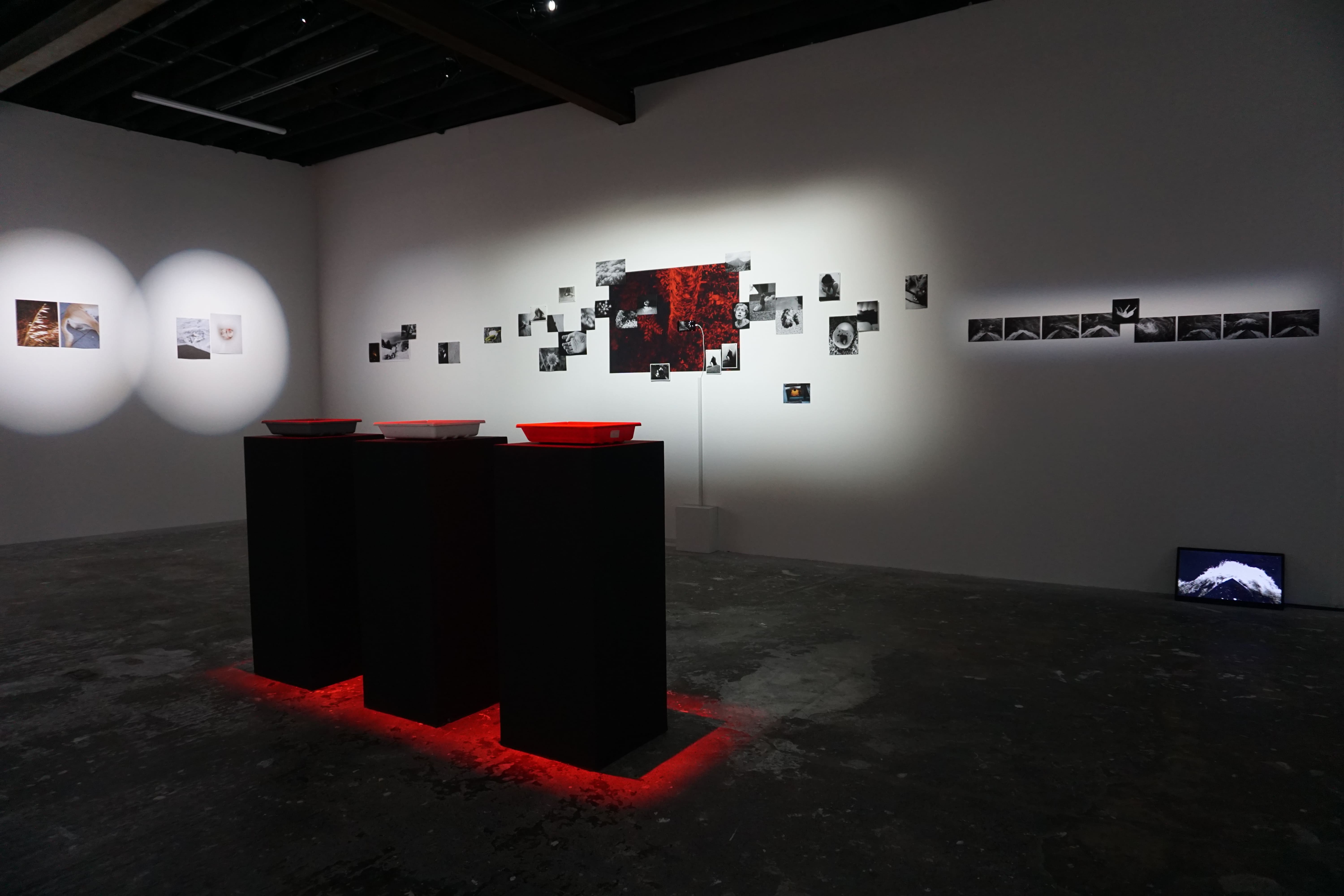saccades, installation view
