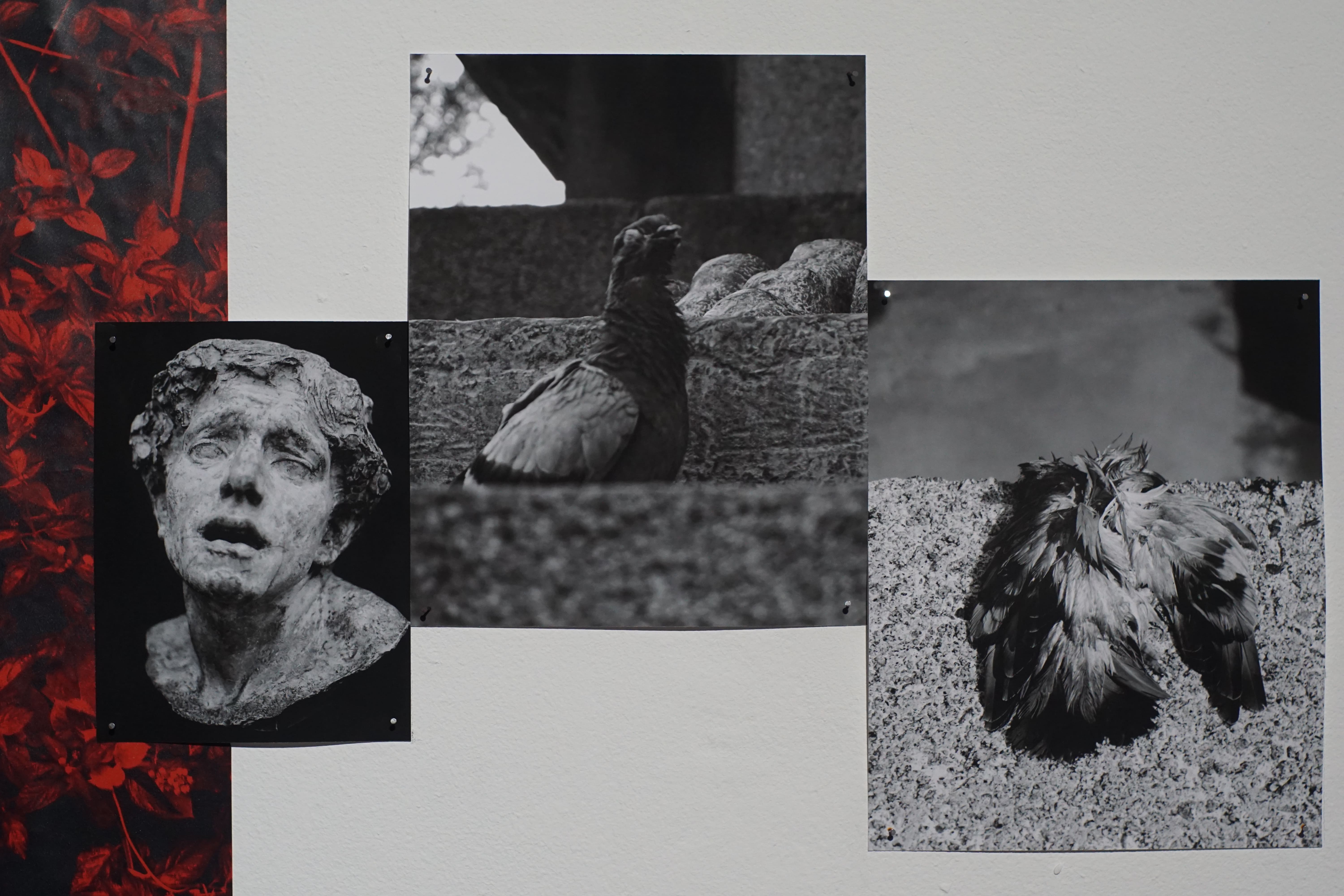 saccades, installation view
