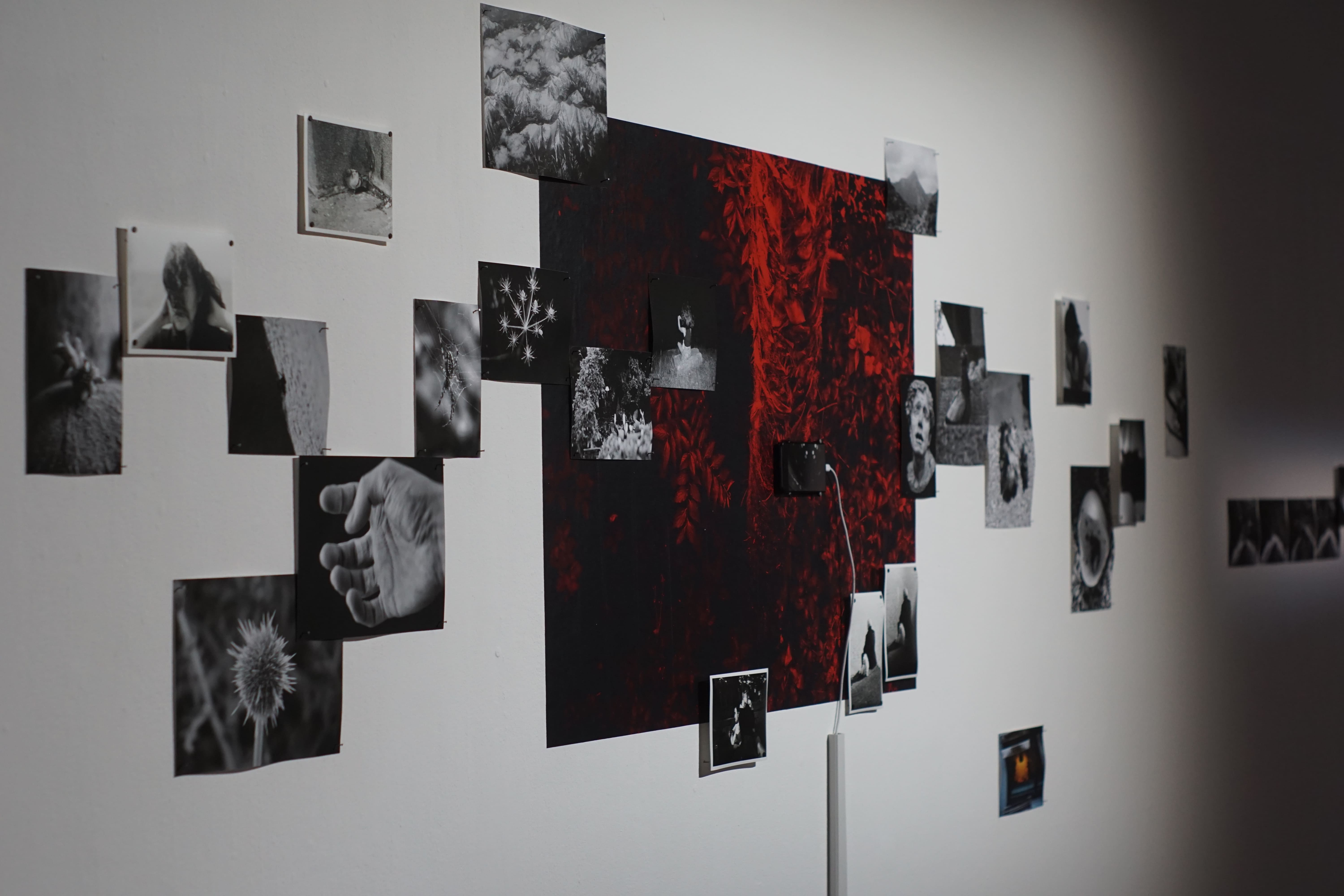 saccades, installation view