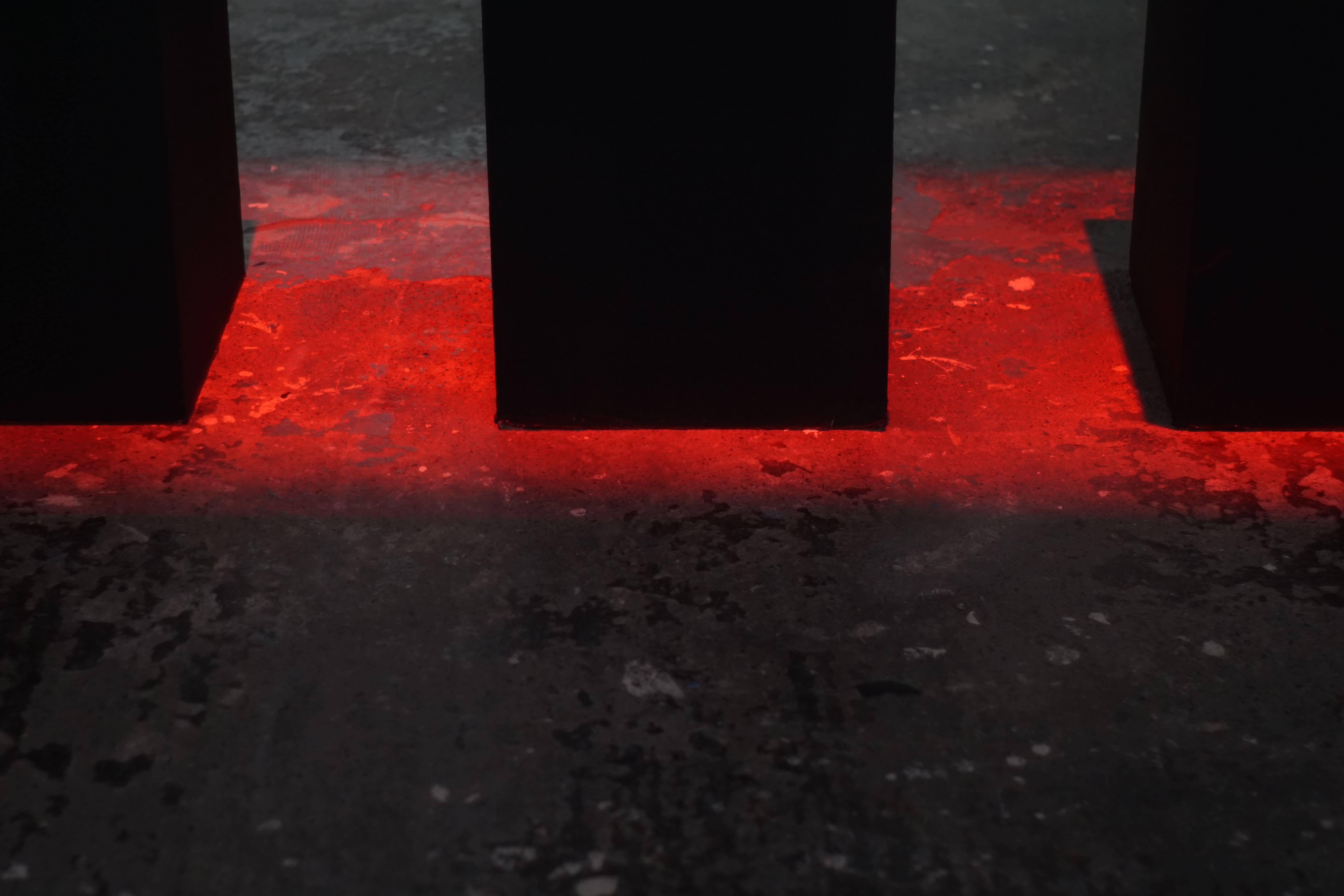 saccades, installation view