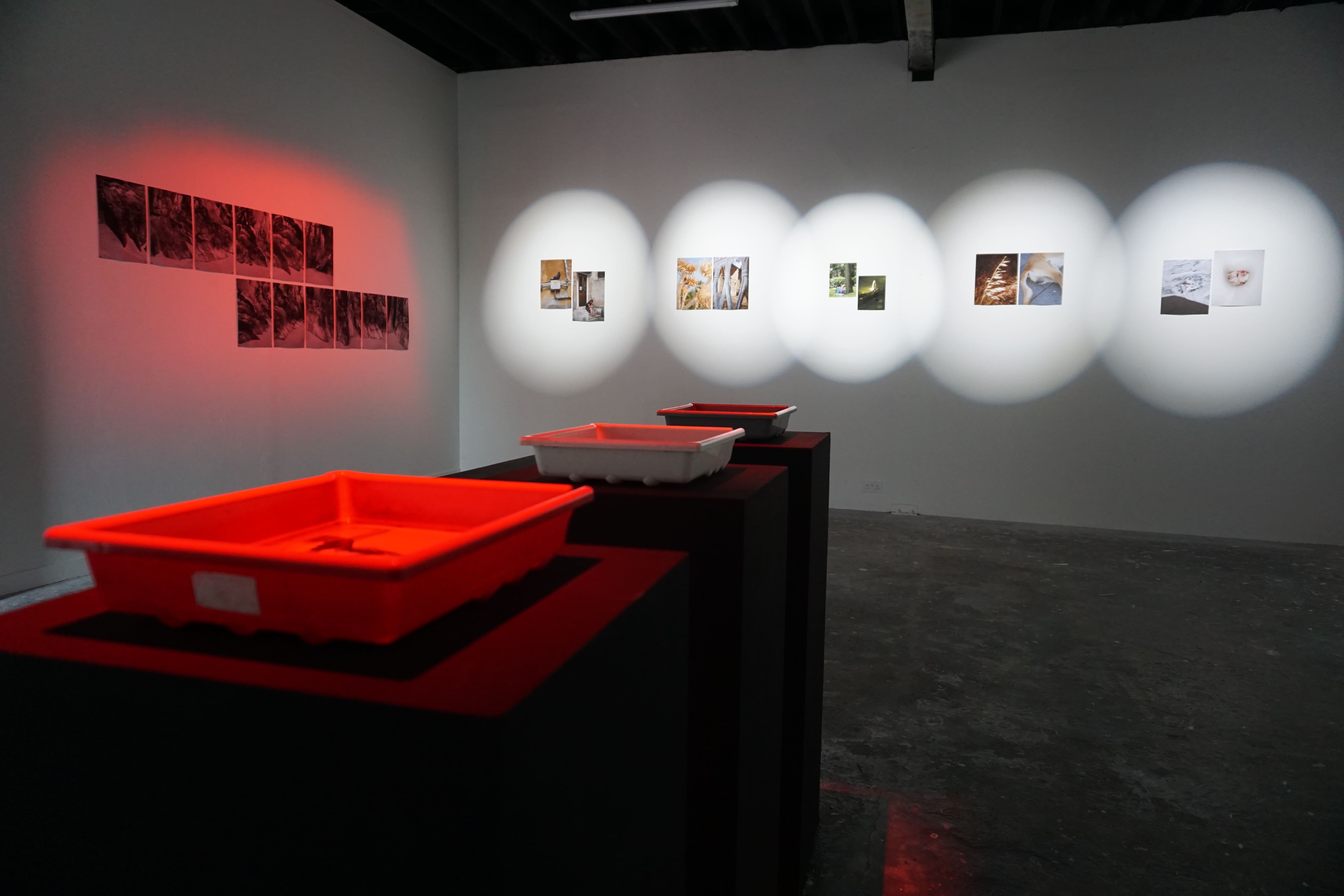 saccades, installation view