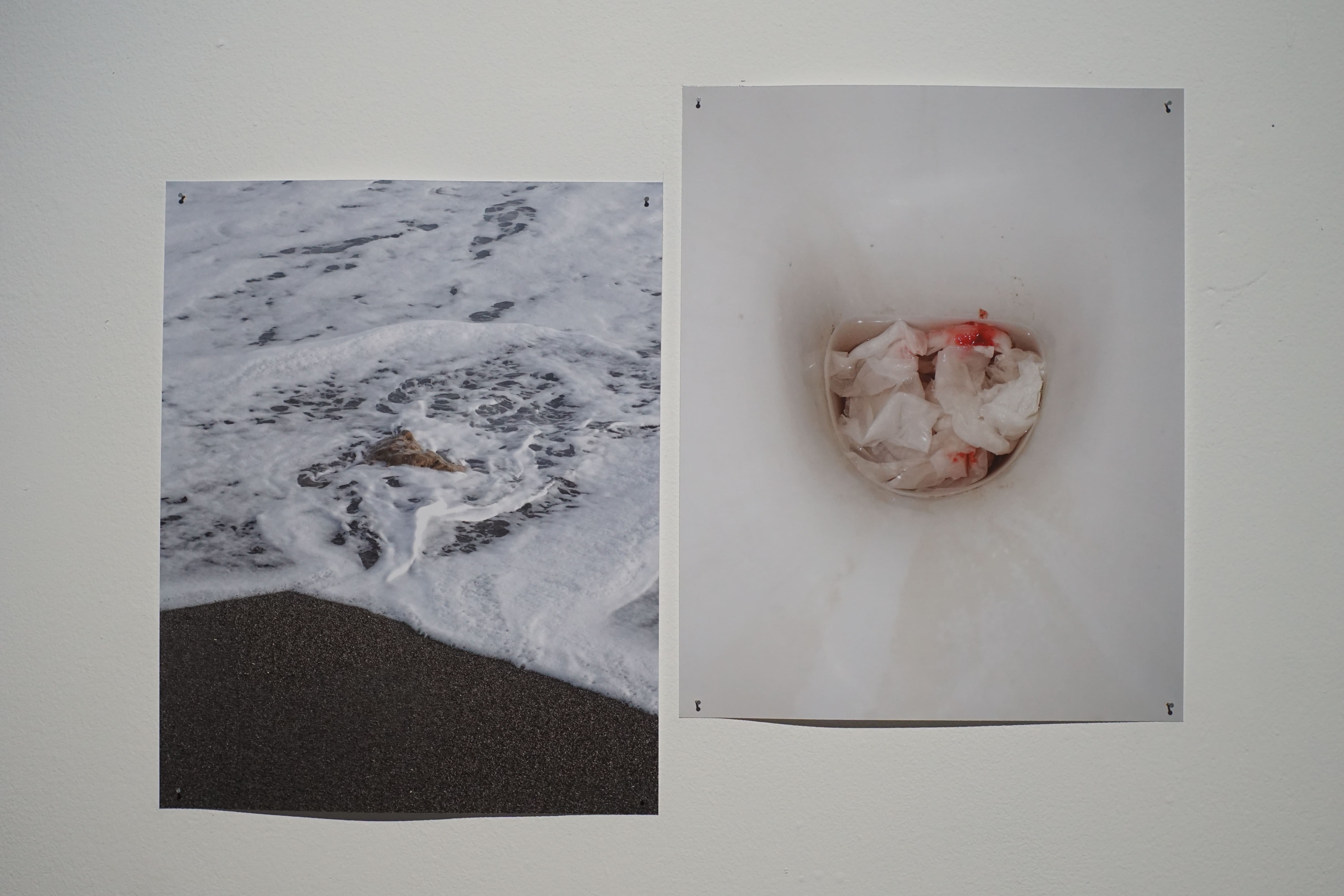saccades, installation view