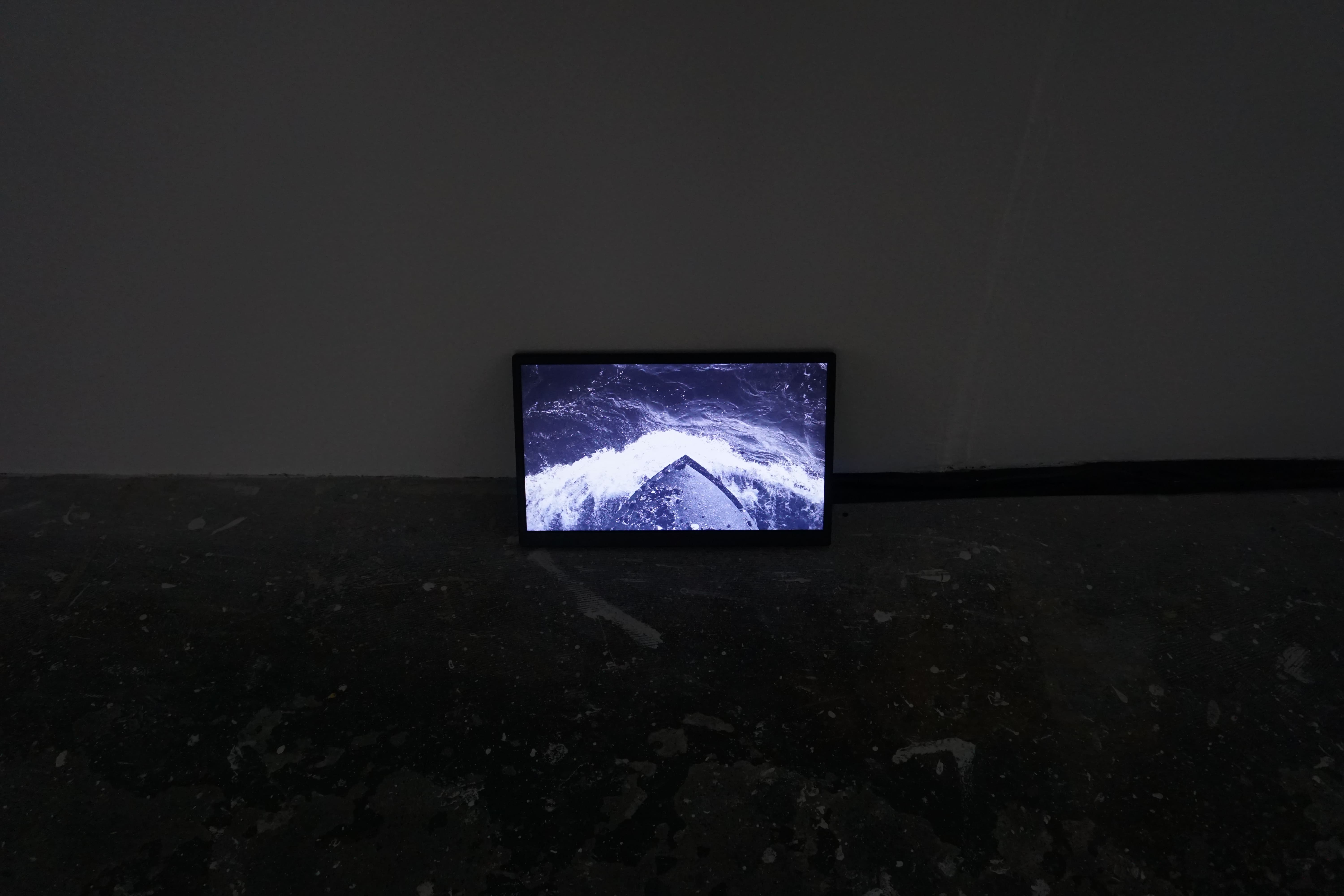 saccades, installation view