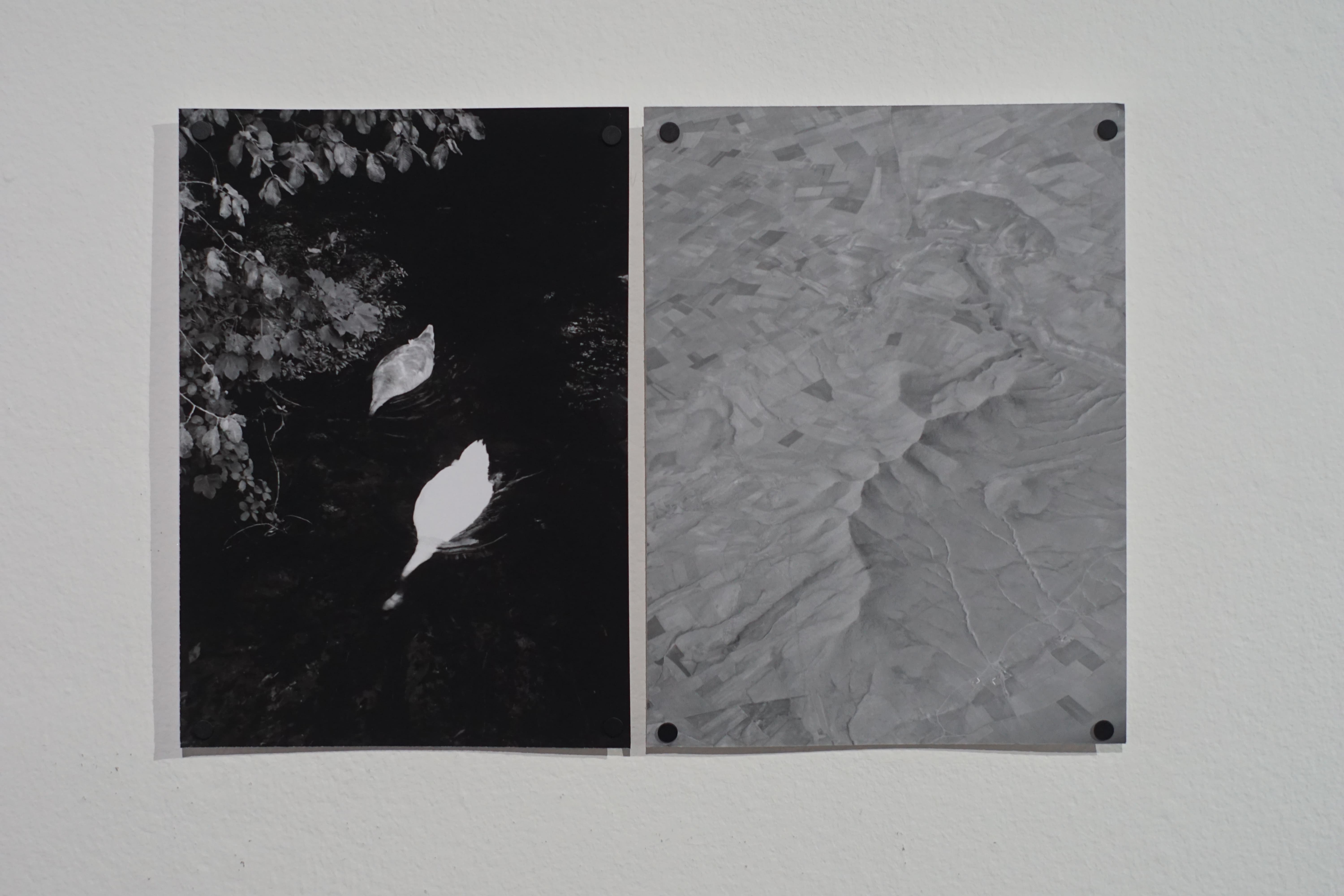 saccades, installation view