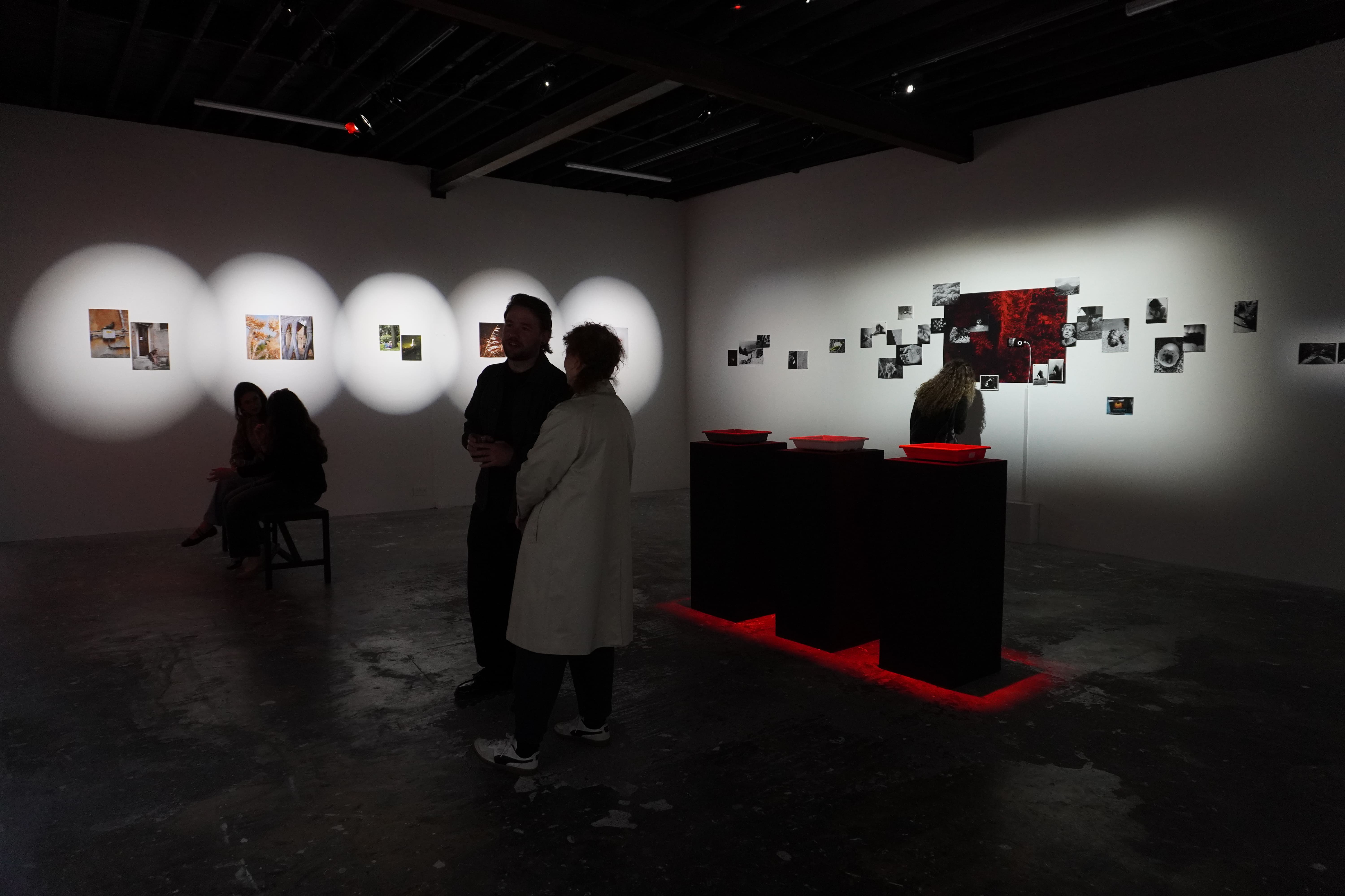 saccades, installation view